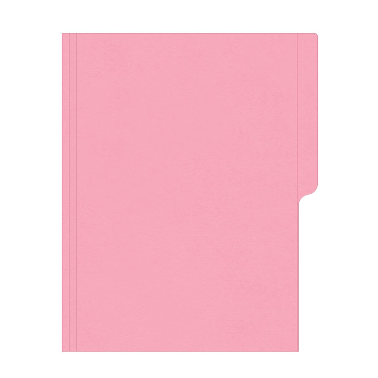 Folder Manila Rosa CTA-FTE