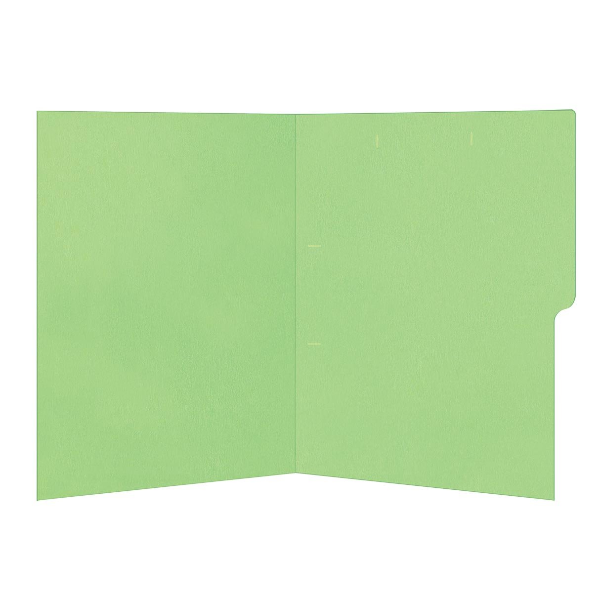Folder Manila Verde CTA-INT